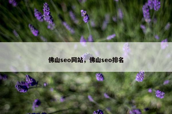 佛山seo网站，佛山seo排名