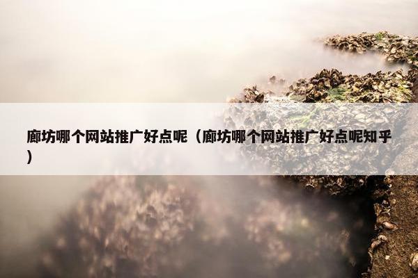 廊坊哪个网站推广好点呢（廊坊哪个网站推广好点呢知乎）