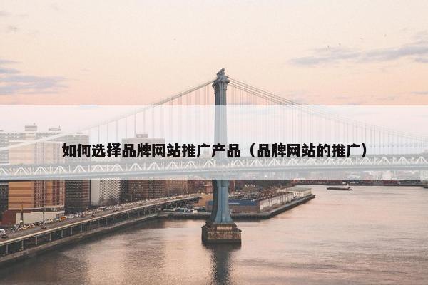 如何选择品牌网站推广产品（品牌网站的推广）