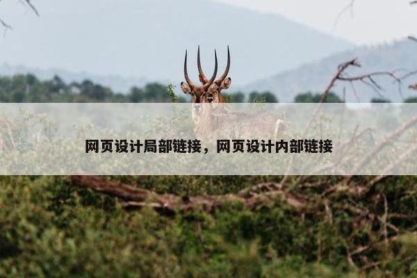 网页设计局部链接，网页设计内部链接