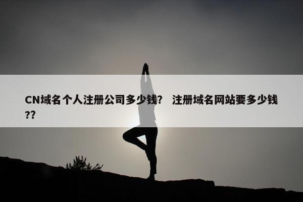 CN域名个人注册公司多少钱？ 注册域名网站要多少钱?？