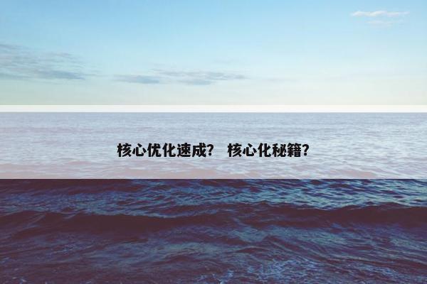 核心优化速成？ 核心化秘籍？