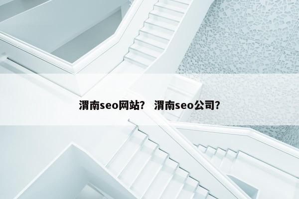 渭南seo网站？ 渭南seo公司？