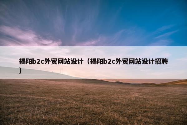 揭阳b2c外贸网站设计（揭阳b2c外贸网站设计招聘）