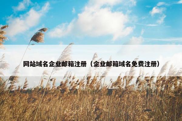 网站域名企业邮箱注册（企业邮箱域名免费注册）