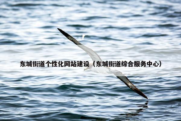 东城街道个性化网站建设（东城街道综合服务中心）