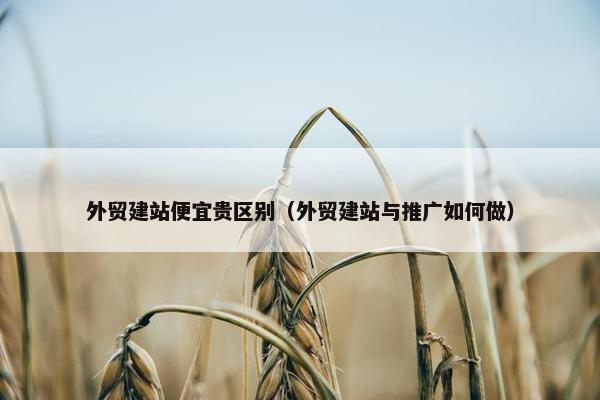 外贸建站便宜贵区别（外贸建站与推广如何做）
