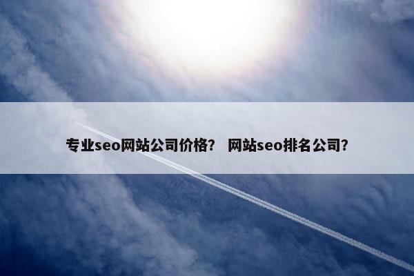 专业seo网站公司价格？ 网站seo排名公司？