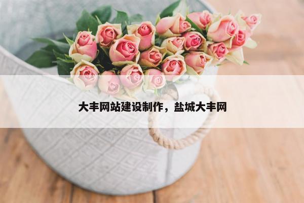 大丰网站建设制作，盐城大丰网