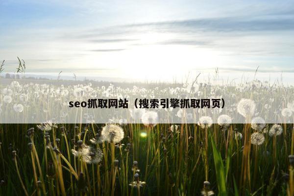seo抓取网站（搜索引擎抓取网页）