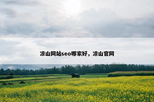 凉山网站seo哪家好，凉山官网
