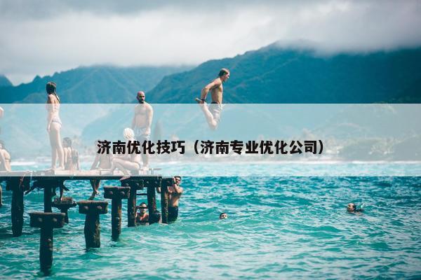 济南优化技巧（济南专业优化公司）