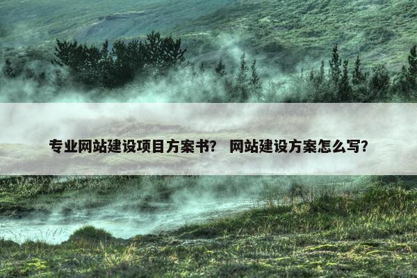 专业网站建设项目方案书？ 网站建设方案怎么写？