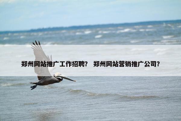 郑州网站推广工作招聘？ 郑州网站营销推广公司？