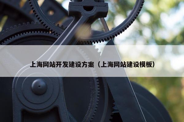 上海网站开发建设方案（上海网站建设模板）