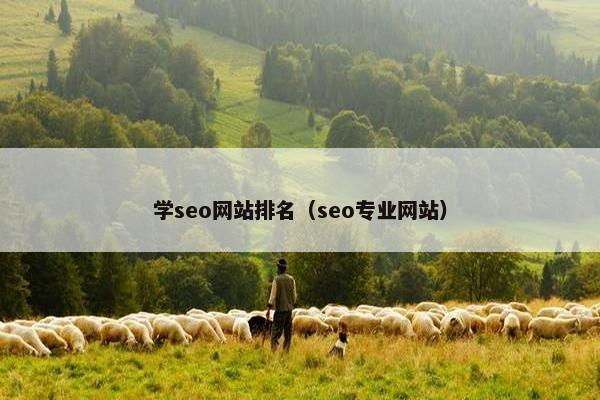 学seo网站排名（seo专业网站）