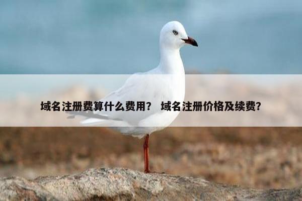 域名注册费算什么费用？ 域名注册价格及续费？