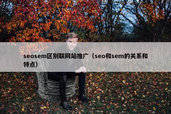 seosem区别联网站推广（seo和sem的关系和特点）