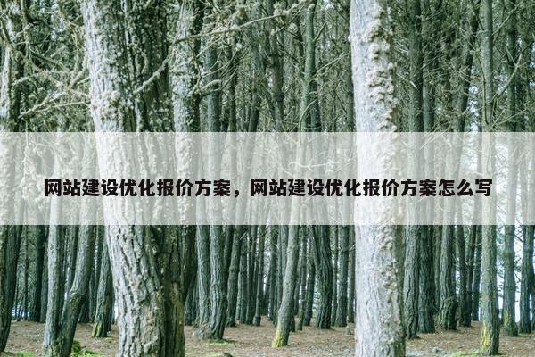 网站建设优化报价方案，网站建设优化报价方案怎么写