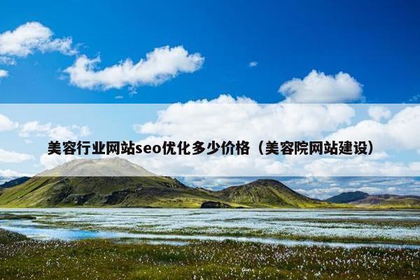 美容行业网站seo优化多少价格（美容院网站建设）