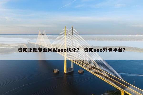 贵阳正规专业网站seo优化？ 贵阳seo外包平台？