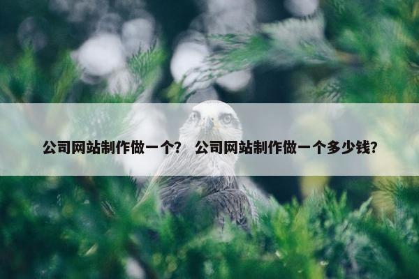 公司网站制作做一个？ 公司网站制作做一个多少钱？