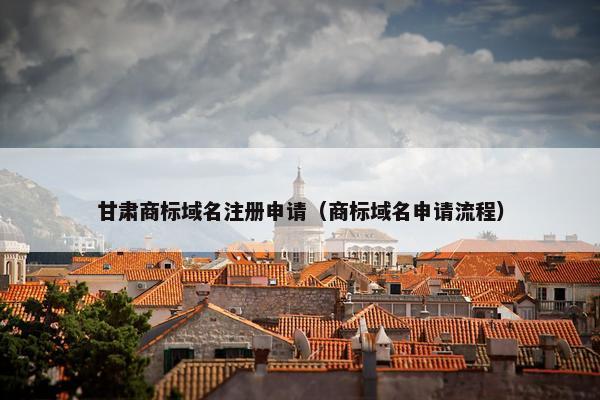 甘肃商标域名注册申请（商标域名申请流程）