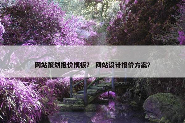 网站策划报价模板？ 网站设计报价方案？