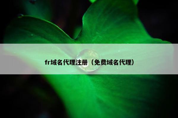 fr域名代理注册（免费域名代理）