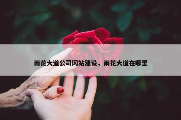 雨花大道公司网站建设，雨花大道在哪里