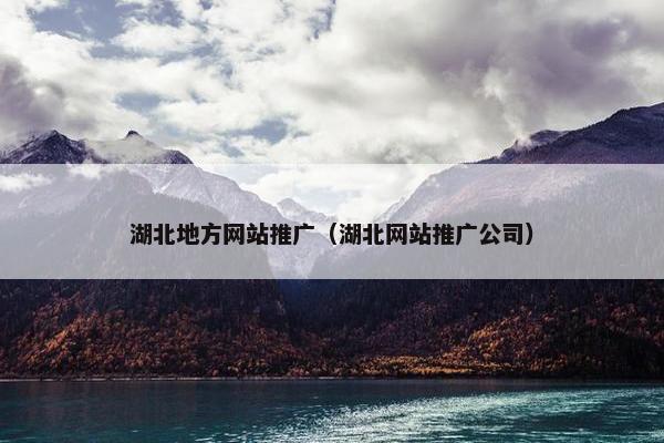 湖北地方网站推广（湖北网站推广公司）