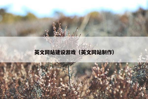 英文网站建设游戏（英文网站制作）