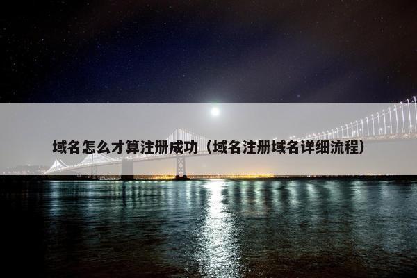 域名怎么才算注册成功（域名注册域名详细流程）