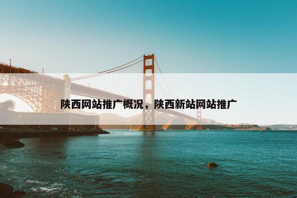 陕西网站推广概况，陕西新站网站推广