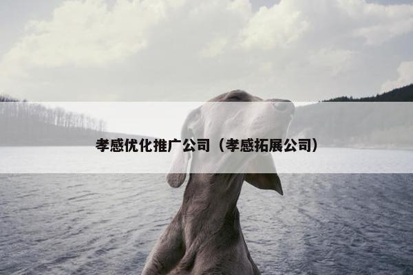 孝感优化推广公司（孝感拓展公司）