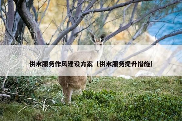 供水服务作风建设方案（供水服务提升措施）