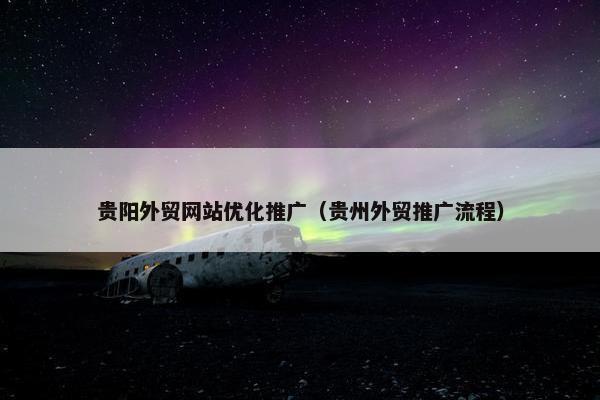贵阳外贸网站优化推广（贵州外贸推广流程）