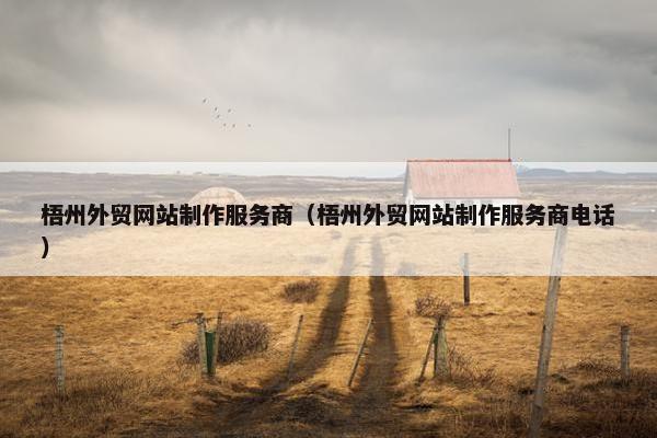 梧州外贸网站制作服务商（梧州外贸网站制作服务商电话）