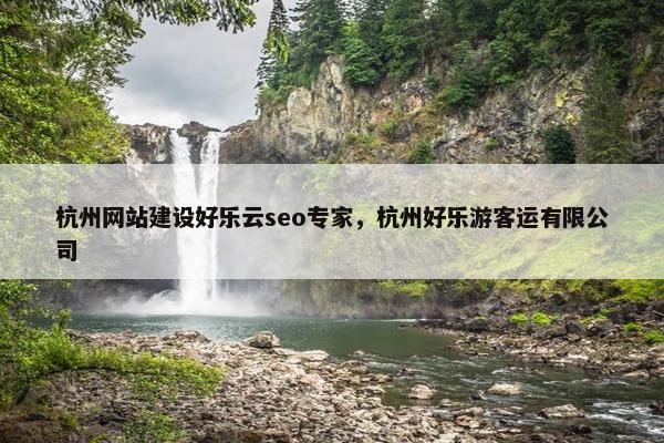 杭州网站建设好乐云seo专家，杭州好乐游客运有限公司