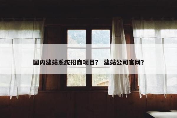 国内建站系统招商项目？ 建站公司官网？