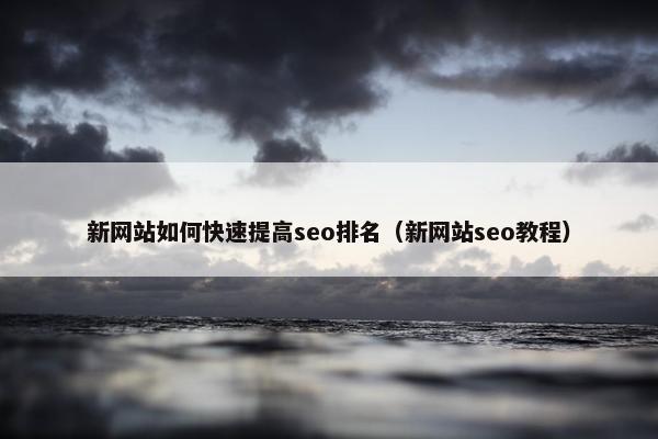 新网站如何快速提高seo排名（新网站seo教程）