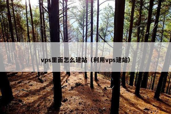 vps里面怎么建站（利用vps建站）