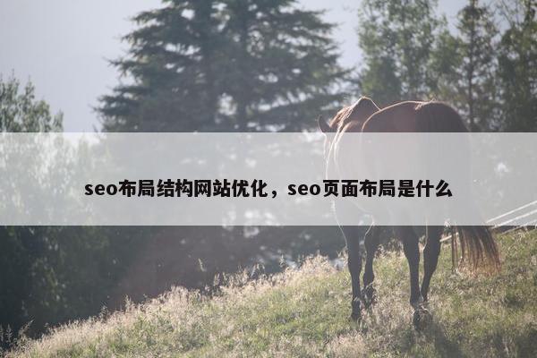 seo布局结构网站优化，seo页面布局是什么