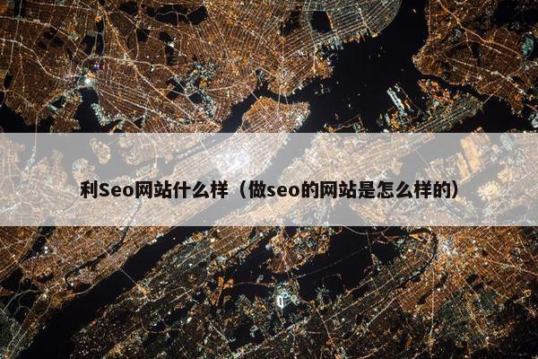 利Seo网站什么样（做seo的网站是怎么样的）