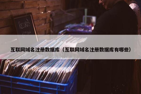 互联网域名注册数据库（互联网域名注册数据库有哪些）
