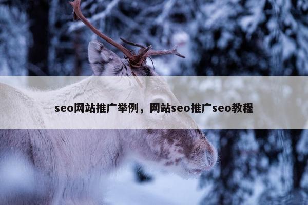 seo网站推广举例，网站seo推广seo教程