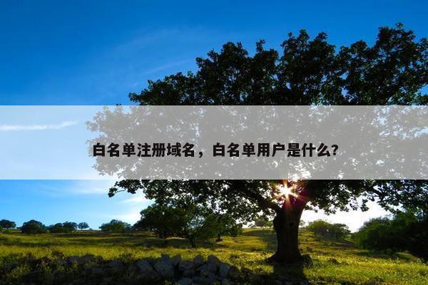 白名单注册域名，白名单用户是什么?
