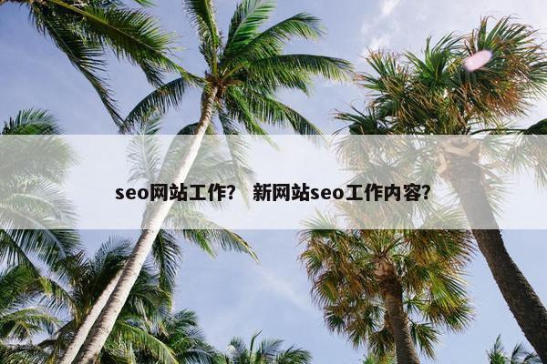 seo网站工作？ 新网站seo工作内容？