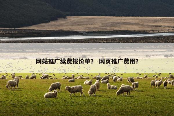 网站推广续费报价单？ 网页推广费用？
