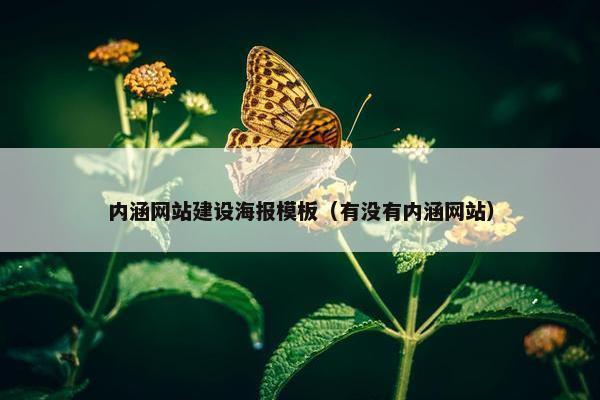 内涵网站建设海报模板（有没有内涵网站）